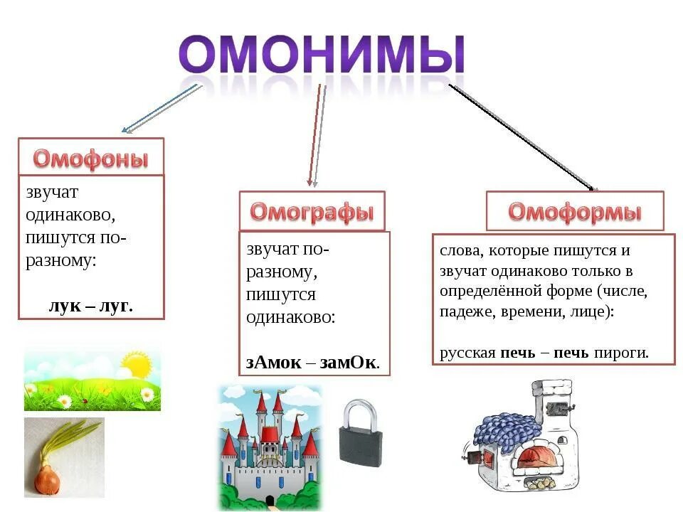 Омонимы. Омонимы примеры. Онимы. Слова омонимы примеры. Что такое омонимы примеры