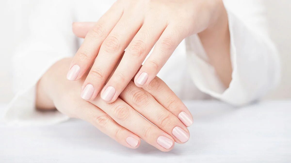 Руки женщины возбуждено. Нежные женские руки. Красивые женские руки. Женская рука. Красивые руки.