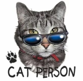 Коте топ песен
