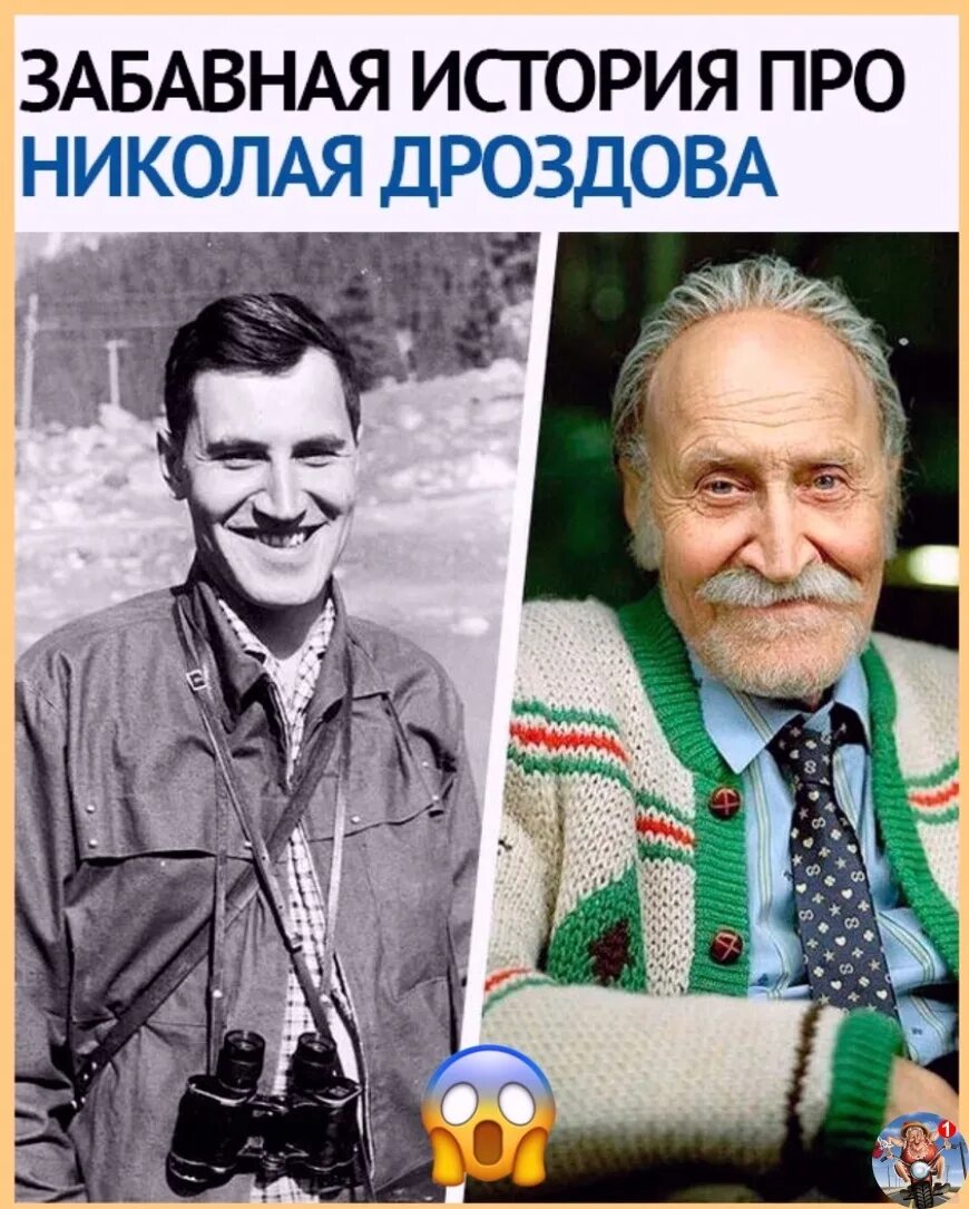 Дроздову лет. Дроздову лет
