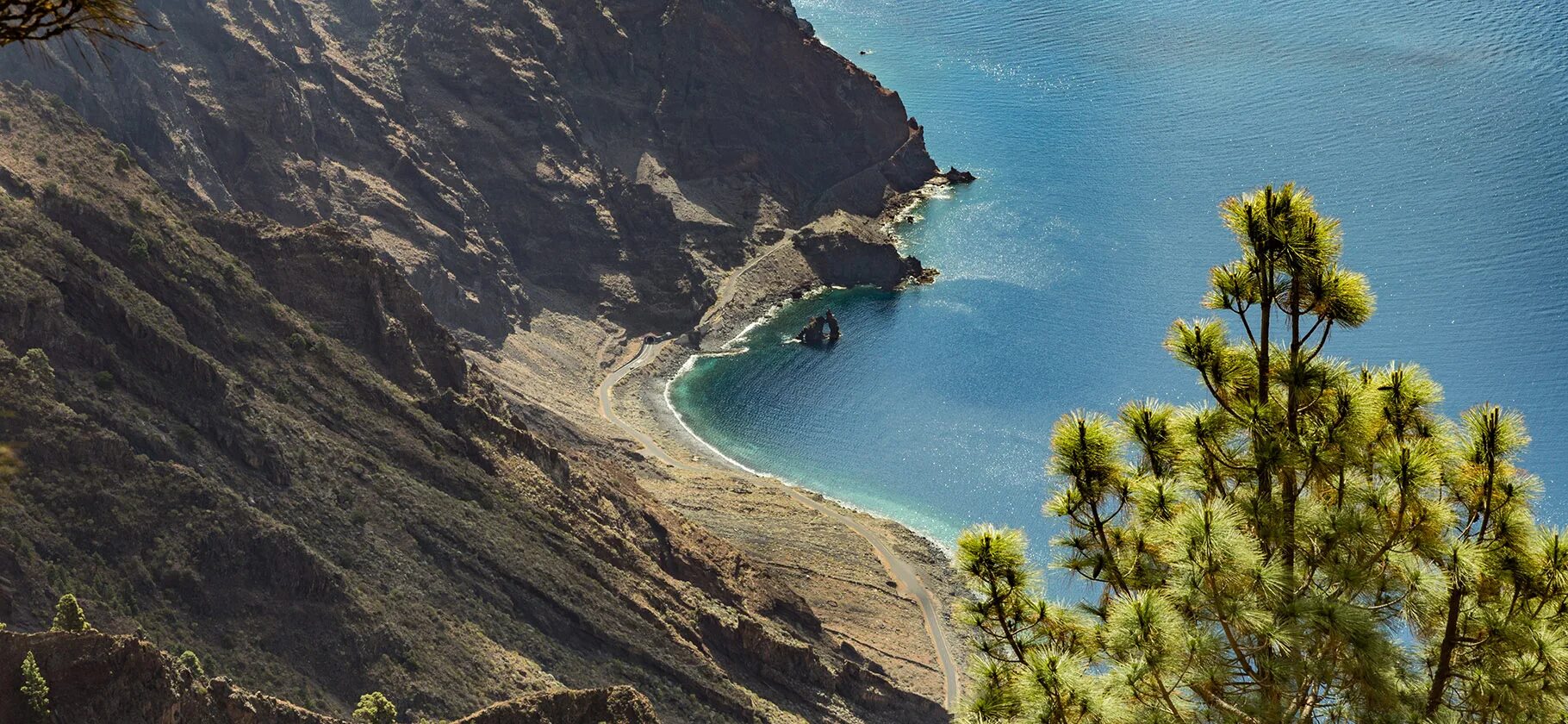 Остров йерро канарские острова. О ел. О ел. Филиппины пальма. Иерро остров фото.