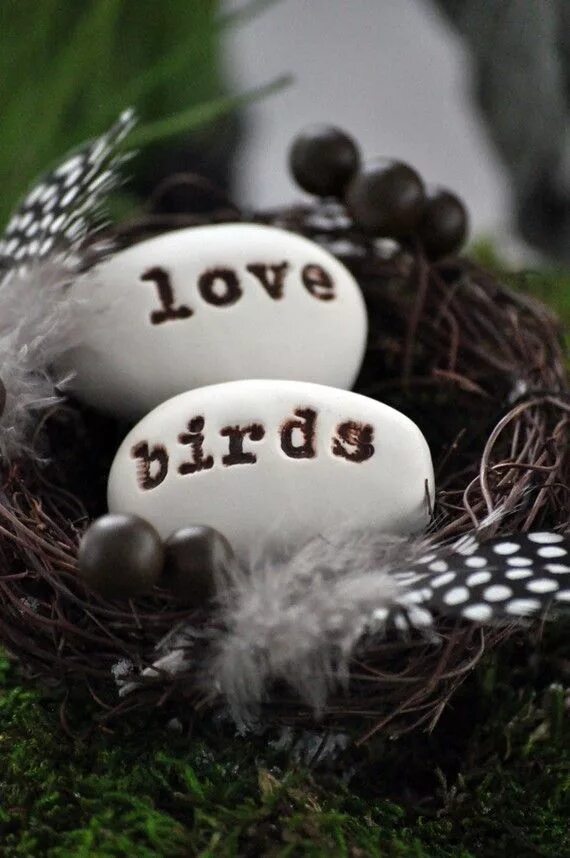 I love birds. Свадьба в Birds. I Love you птички. Bird Love Gift.