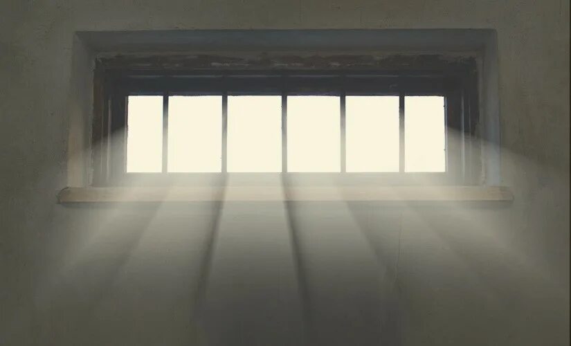 Through the bars
