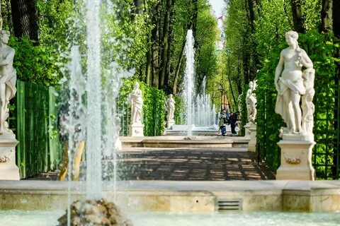 Три летних сада