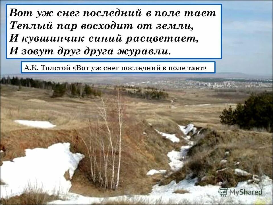 Последний снег стихотворения. Толстой вот уж снег последний в поле. Стихотворение вот уж снег последний тает. Стихотворение вот уж снег последний в поле тает толстой. Вот и снег последний в поле тает.