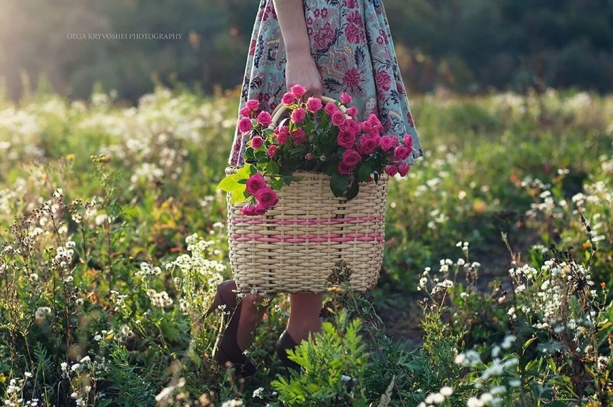 Прошлое лето это какое лето. Воспоминания о лете. август прощай лето. лето уходит. август прощается с летом.