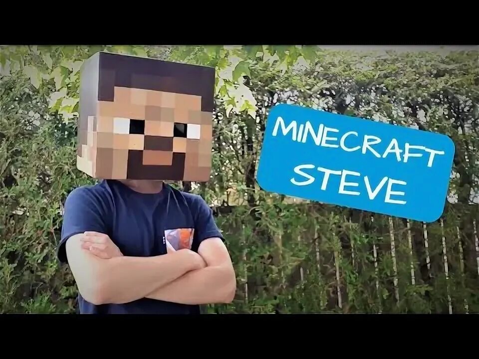 Steve made. Steve made