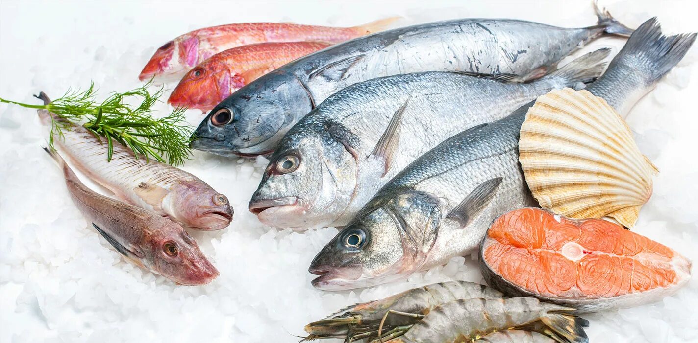 какая свежемороженая рыба. рыба мороженая. какая свежемороженая рыба. скумбрия 400-600 с/ г н/ р. форель радужная свежемороженая.
