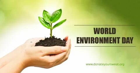 Save the environment and eat organic
