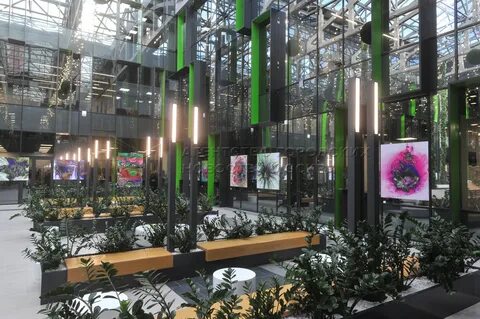 Pop up museum ул бутлерова 17