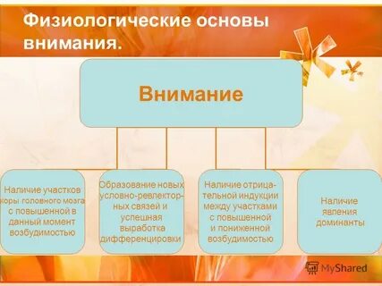 Физиологические функции внимания