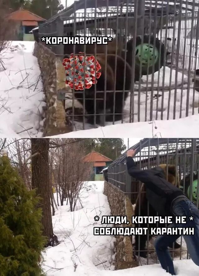 Карантин фото смешное. Лета не будет карантин. Магазин закрывают на карантин. Смешные картинки про карантин. Вывеска карантин на дверь.