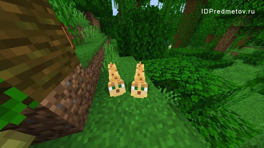 Овцы из майнкрафта стадо. Чего едят черепахи в майнкрафте. Чем кормить дельфина в майнкрафте. Оседлать ламу в майнкрафте. Как приручить оцелота в майнкрафте 1.
