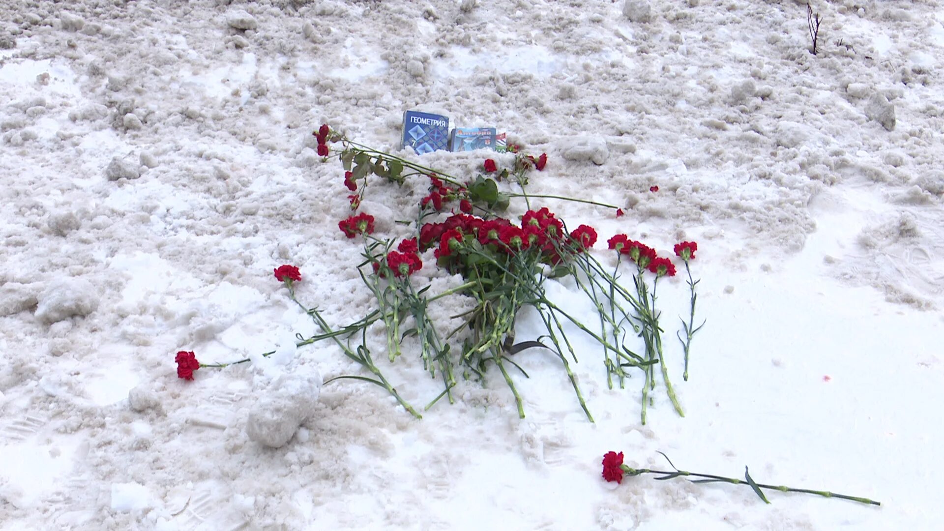 Про учителя убитую. Элиас эмбарек зачетный препод. Убили учительницу в воронеже вчера. 101 школа воронеж директор. Про учителя убитую.