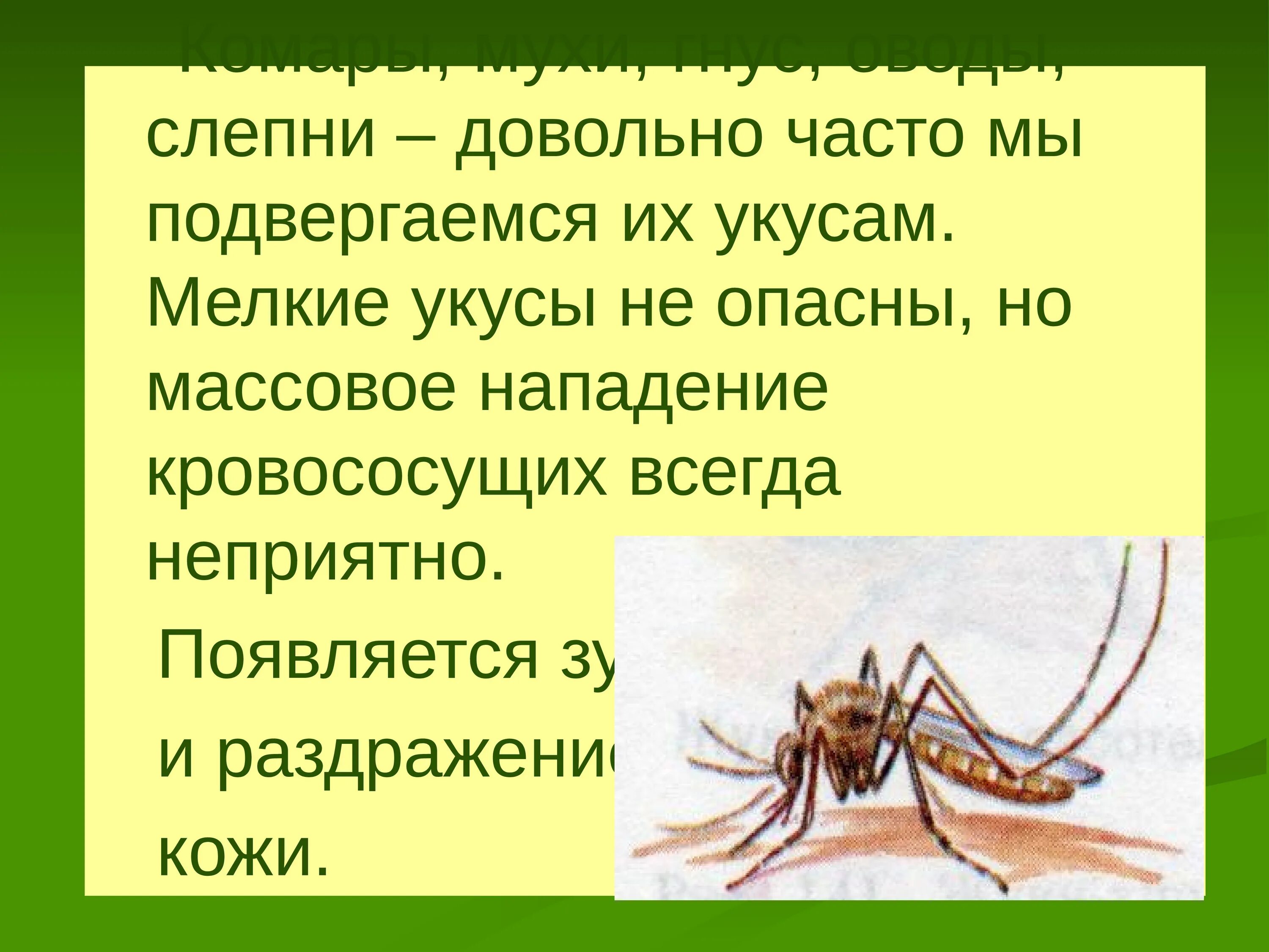 Тема укусы насекомых. Презентация на тему укусы насекомых. Укусы ядовитых насекомых. При укусе ядовитого насекомого.