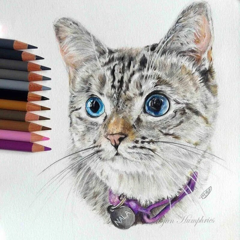 Коты маркерами. Кошка маркерами. котенок фломастером. рисунки котиков. рисунки фломастерами.