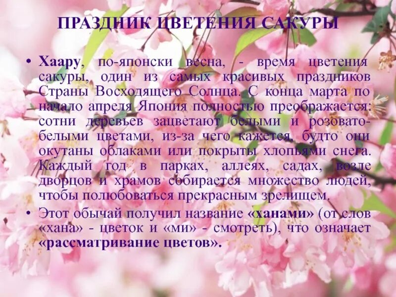 Слово цвести время. Праздник цветения Сакуры 4 класс изо. Цветущая Сакура презентация. Праздник цветения вишни-Сакуры изо 4 класс презентация. Праздник цветения вишни Сакуры изо 4 класс.