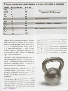 Как выбрать гирю