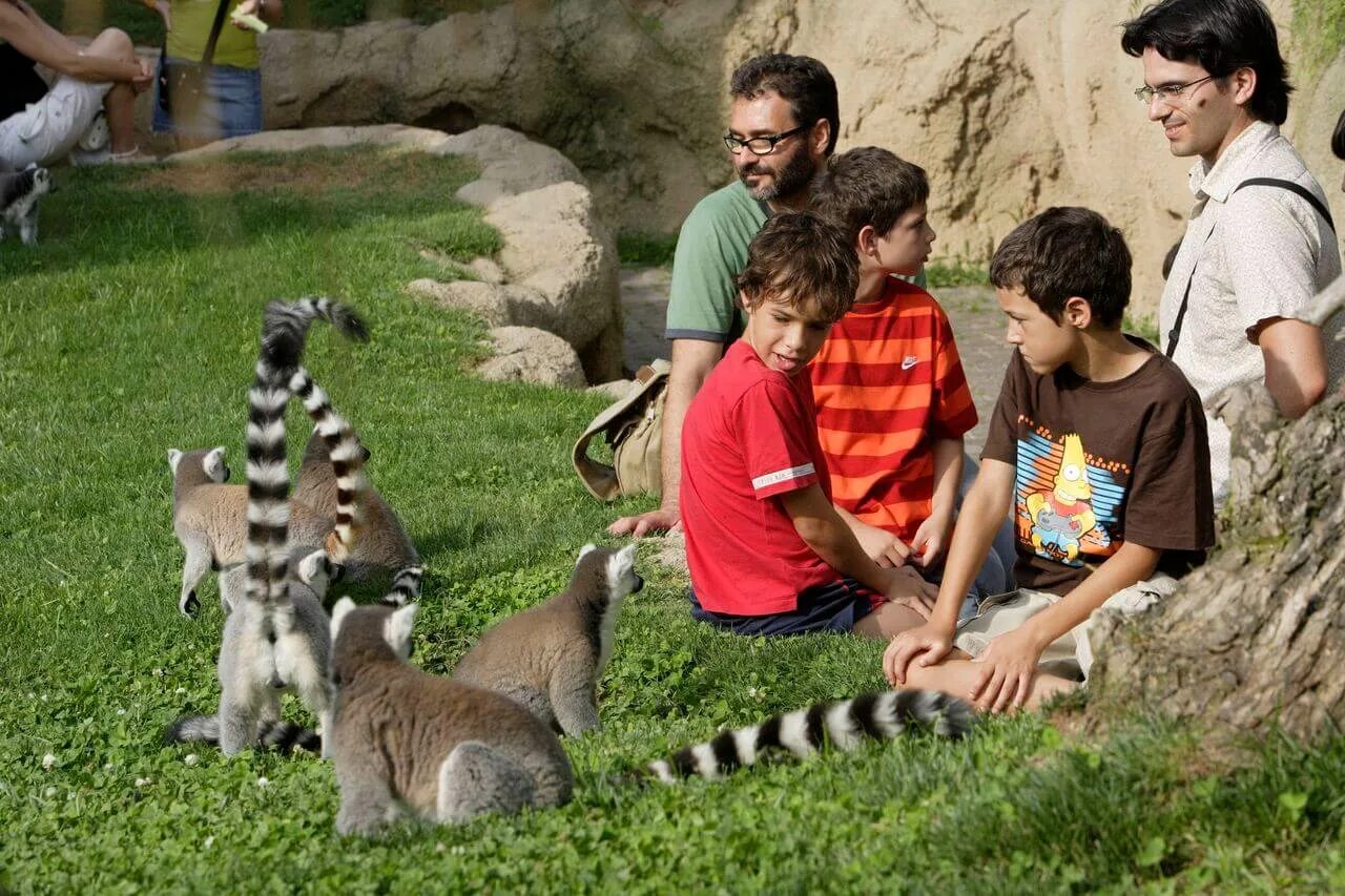Российский зоопарк. Обитатели зоопарка. Лошадь в зоопарке. Звери в зоопарке. Лев в московском зоопарке.