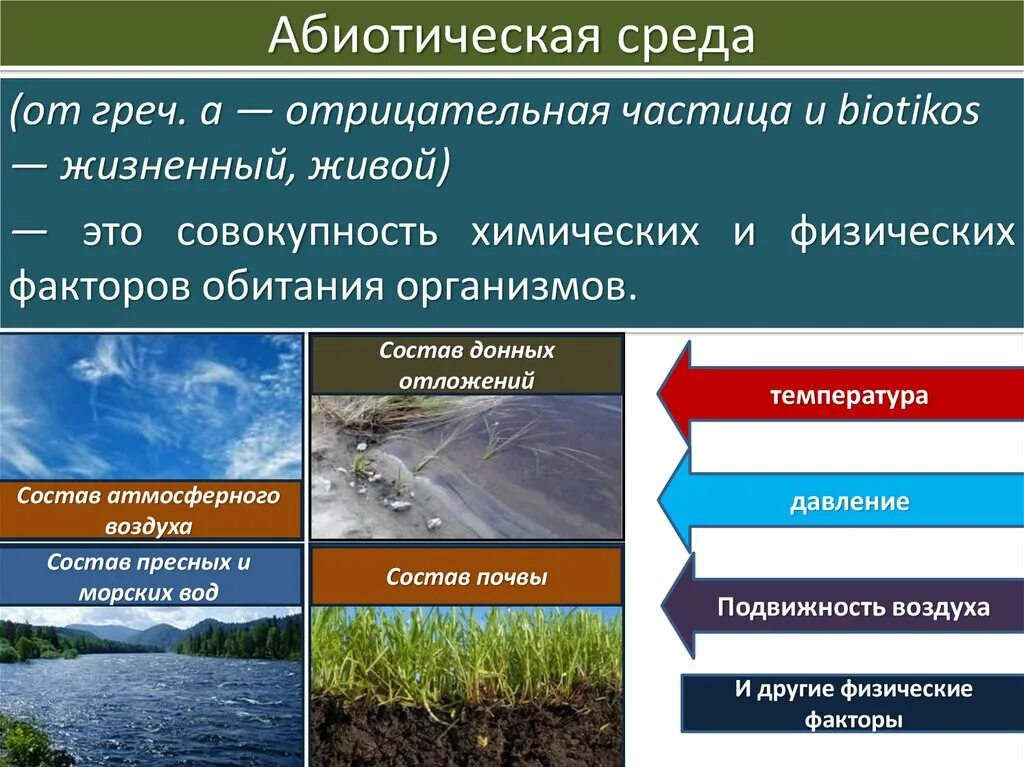 Абиотическими факторами природной среды. Абиотические факторы окружающей среды. Абиотические факторы среды обитания. Абиотические экологические факторы. Абиотические факторы факторы среды.