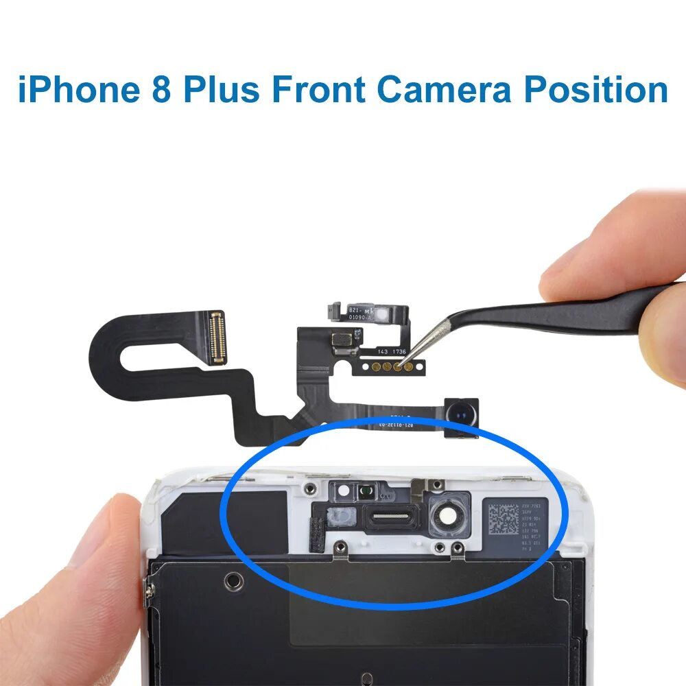 Работает передняя камера айфон. Iphone 8 Plus шлейф фронтальной камеры. Iphone 8 Plus камера. Iphone 8 Plus камера передняя. Iphone 8 Plus датчик приближения.