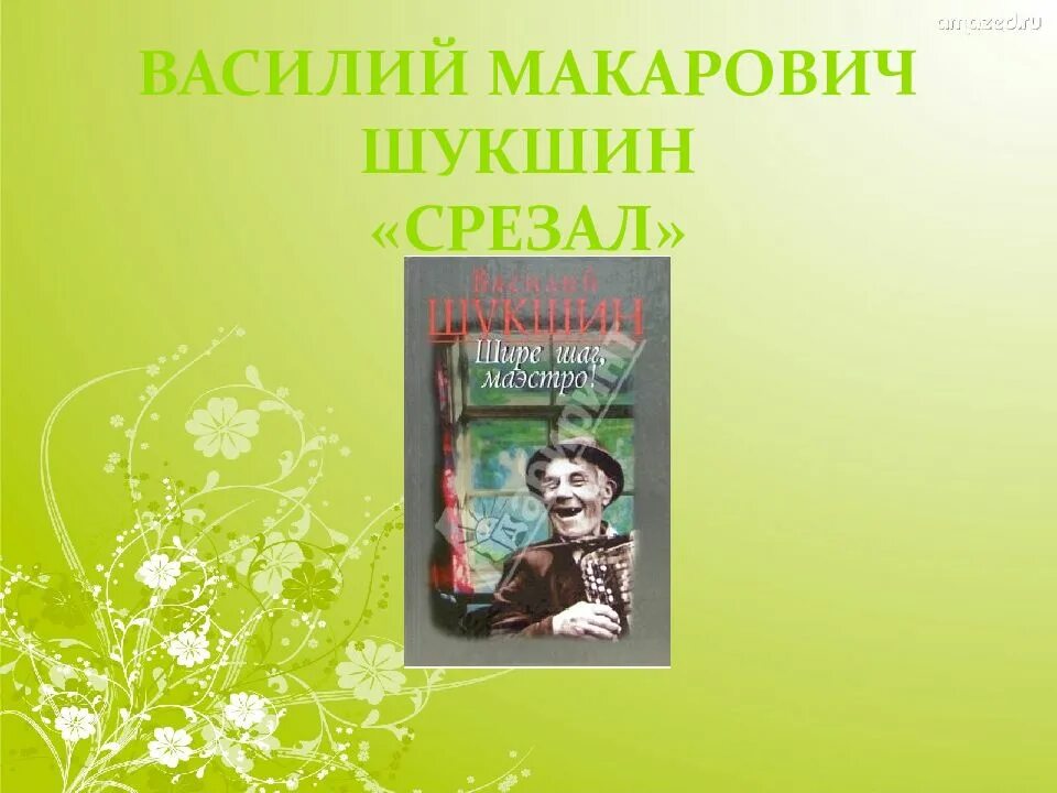 Шукшин писатель срезал. Шукшин срезал. Произведение срезал Шукшин. В М Шукшин срезал.