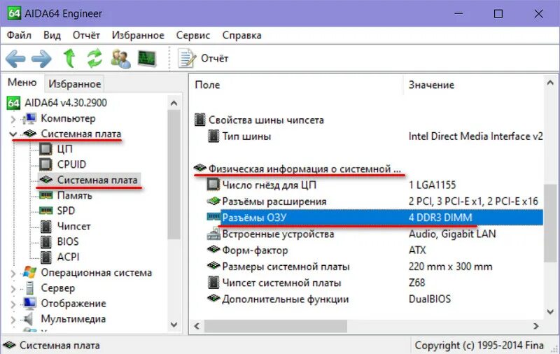 Как узнать слоты оперативной памяти. Разъемы ОЗУ Aida 64. Aida64 Оперативная память. Разъемы расширения системной платы aida64. Aida64 Оперативная память XMP.