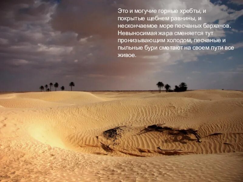 Зыбучие Пески пустыни. Пустыня Дюна зыбучие Пески. Зыбучие Пески в пустыне сахара. Зыбучие Пески Аральское море.