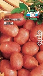 Семена алтая картофель