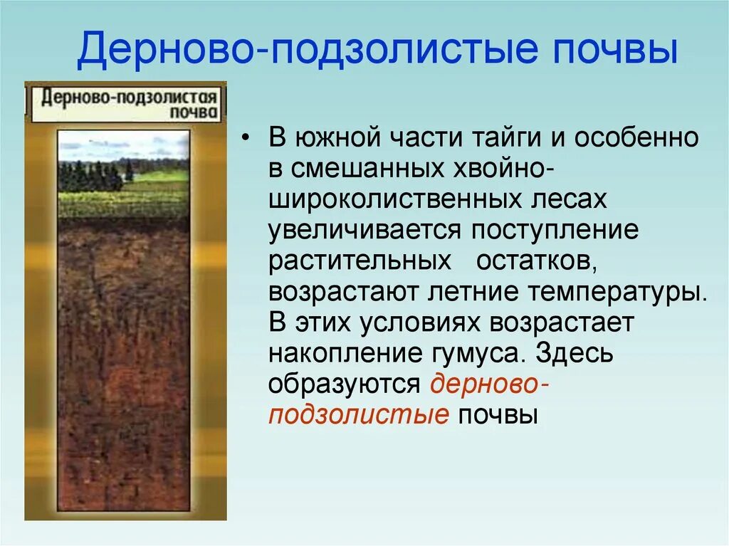 Подзолистые почвы слои. Днрно подзолмстые почвы. Дерковов подзодистые почвы. Дерново-подзолистые почвы профиль. Почвенный разрез дерново-подзолистых почв.