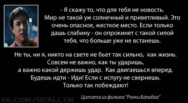 Сколько ни цитаты. Цитата из рокки. цитаты из рокки бальбоа. рок цитаты. фраза из рокки.