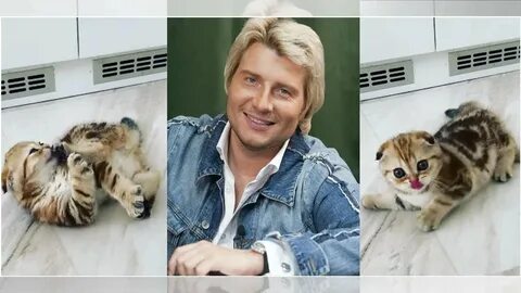 Коля котенок