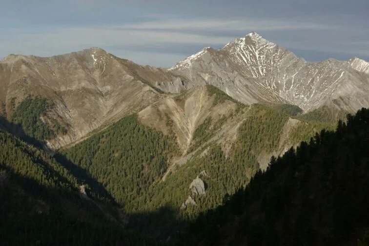 саяны сервис