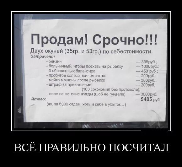 Продаем окуней