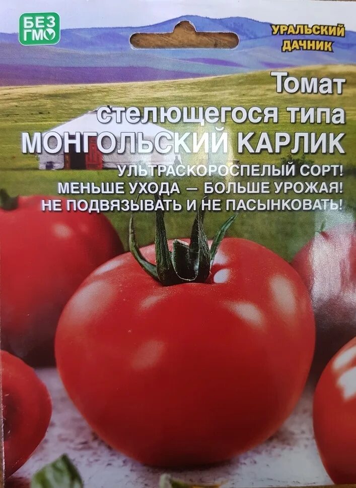 Монгольский карлик помидоры характеристика отзывы. Томат монгольский карлик 20шт (уральский дачник). томат монгольский карлик семена. томат монгольский карлик 20 шт. томат карликовый монгол.
