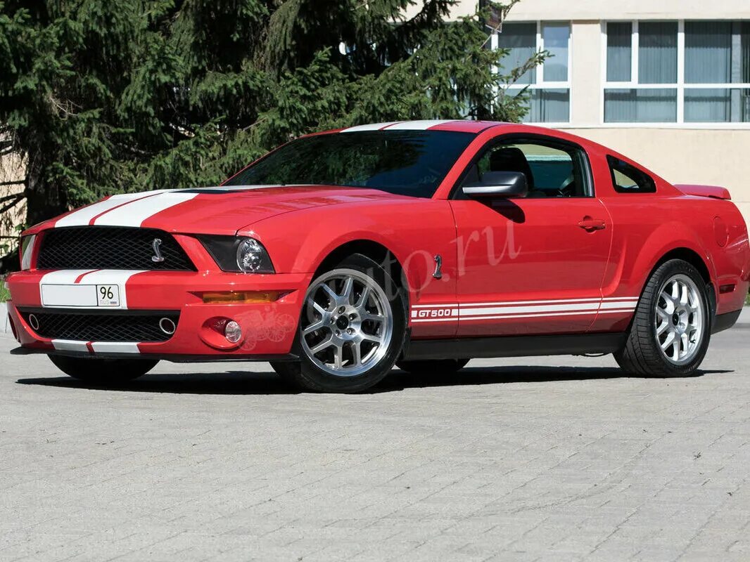 Мустанг цена. Форд Мустанг gt 500 2009. Ford Shelby gt500 2009. Ford Mustang v Shelby gt500. Ford Mustang 5 Shelby gt500.