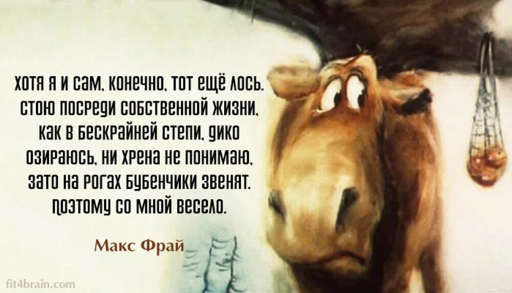 Собственно как и сами