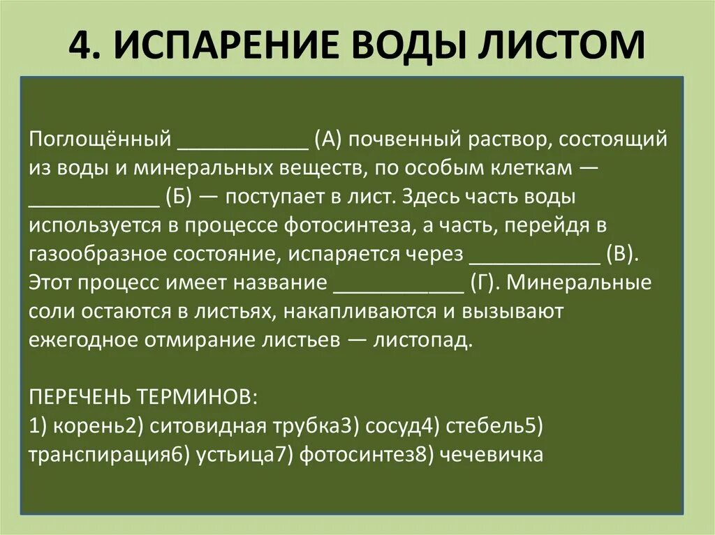 В листьях часть воды используется в процессе. Поглощённый почвенный раствор. Испарение воды листом ВПР. Поглощенный почвенный раствор испарения воды растением. Испарение воды листом поглощенный.