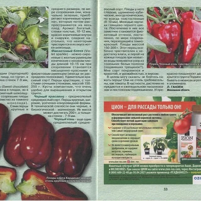 агрофирма партнер перцы. перец пилот описание отзывы. перец пилот описание отзывы. сорт перца полет. перец кеша f1.