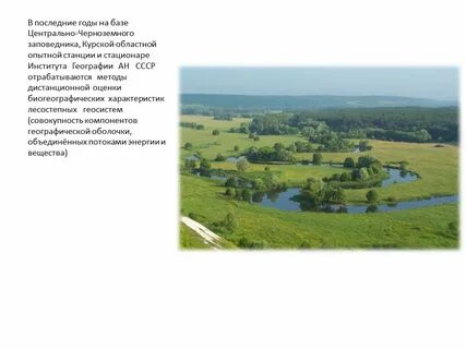 Региональные проекты курской