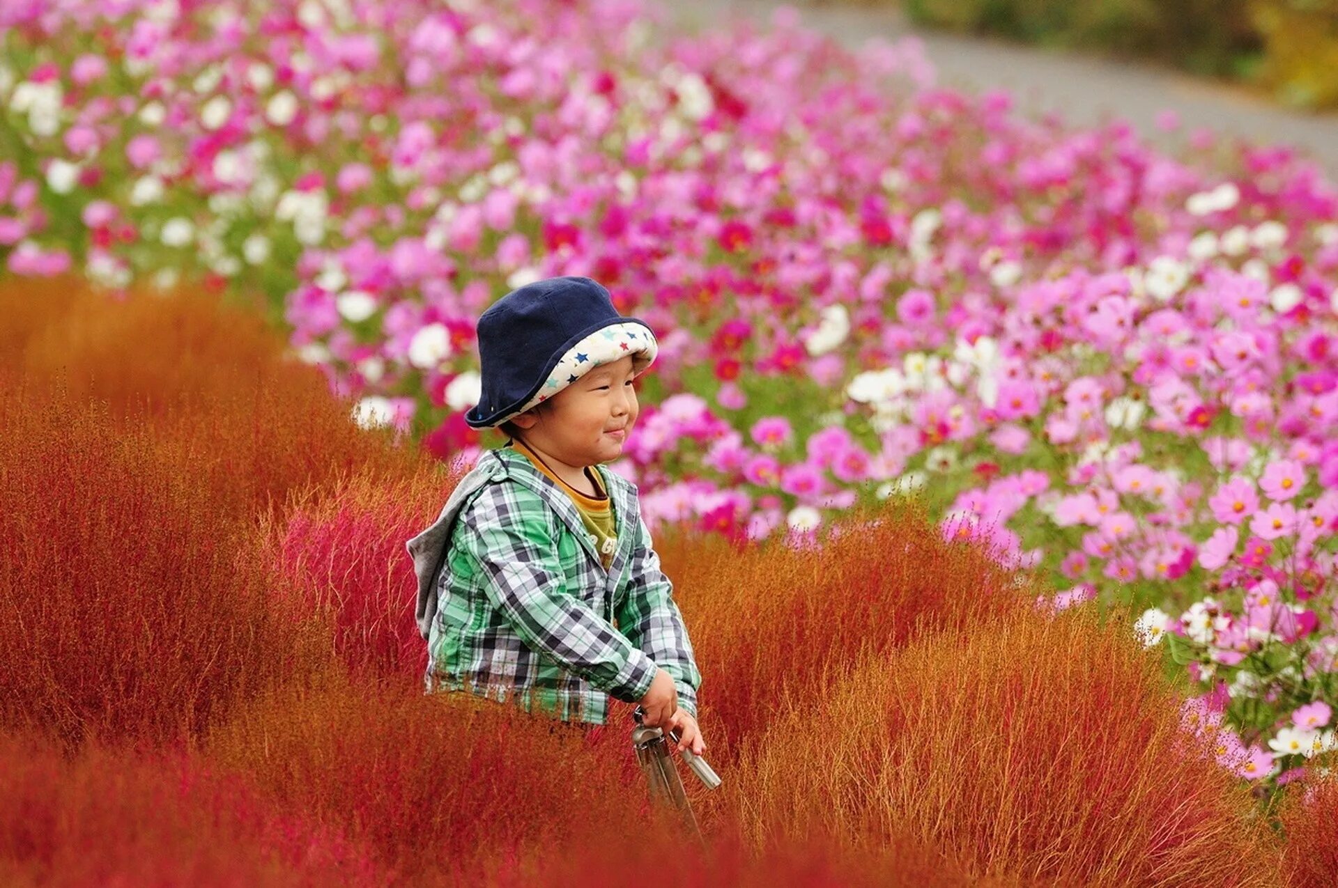 Дети цветов 4. Любование природой. Уроки любования природой в Японии. Корейские дети на природе. Япония для детей природа.