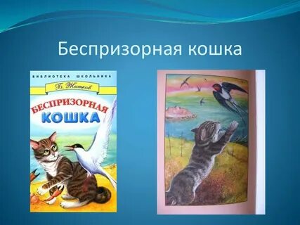 Житков беспризорная кошка