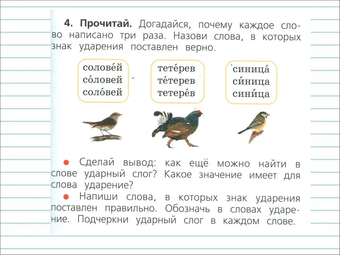 Сколько звуков в слове ворон. Обозначь в словах ударение. Птицы поставить ударение. Где поставить ударение 1 класс. Подчеркни в словах ударный слог.