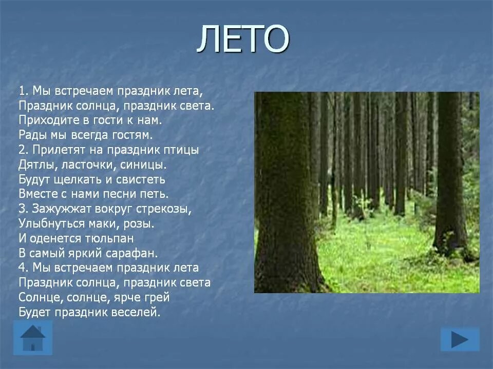 Лето описание природы. Рассказ про лето. Доклад про времена года. Рассказ летом в лесу. План как был в лесу летом