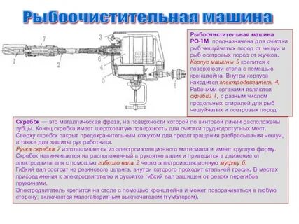 Что является рабочим органом рыбоочистительной машины