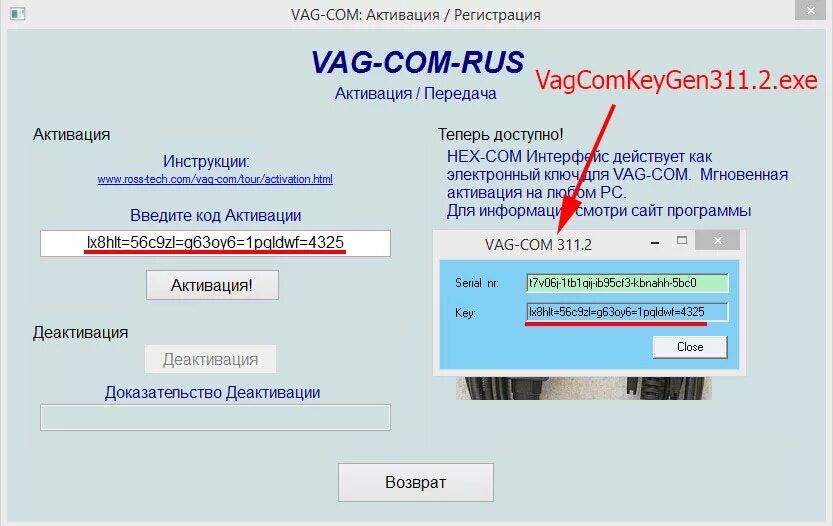 Активация лицензии Вася диагност. Вася диагност ключ лицензии. VCDS серийный номер. Вася диагност серийный номер. Спд активация