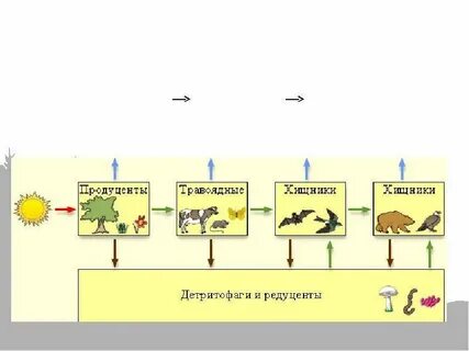 Распределенные экосистемы