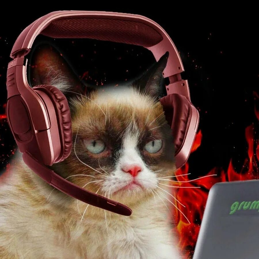 Кот с геймпадом. Коты геймеры. Кот геймер. Кот с геймпадом. Геймер арт.