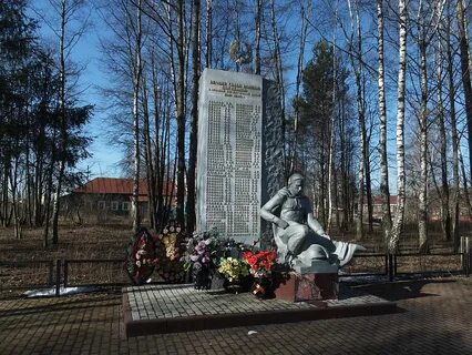 Московская область воин