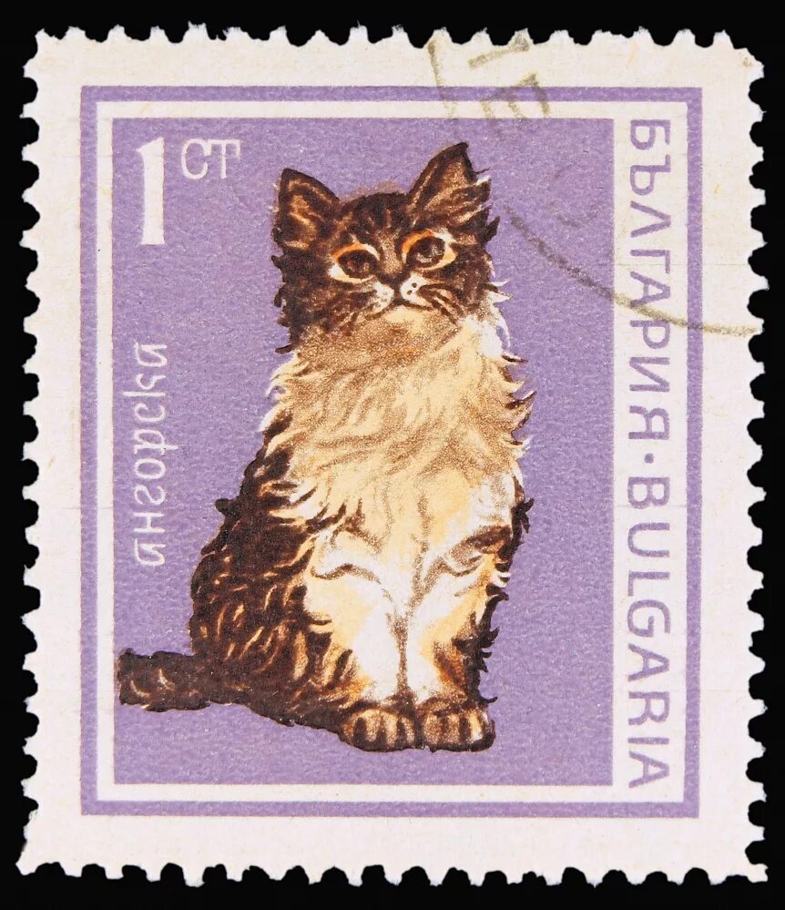 Марки кот. Марки с кошками. кошки на почтовых марках. марка почтовая с котиком. кот на почтовой марке.